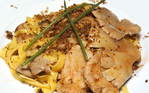 Lion's Mane and Oyster Mushroom Pasta