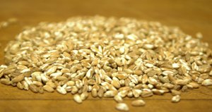 Farro