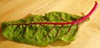Chard_1