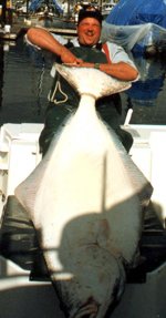 Halibutfisherman