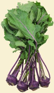 Kohlrabi_1